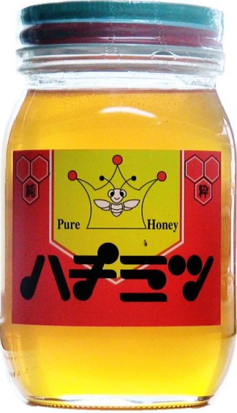 画像1: 奈良県 国産純粋 蜂蜜 養蜂場  600g (1)